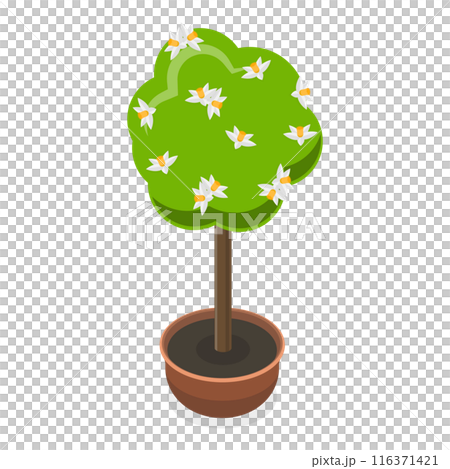 3D Isometric Flat  Set of Garden Flowers. Item 5 116371421