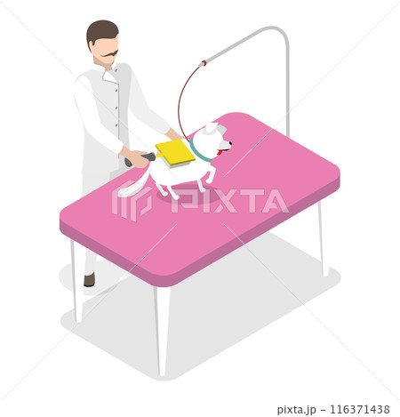 3D Isometric Flat Illustration of Pet Grooming. Item 3 3D Isometric Flat Illustration of Pet Grooming. Item 3 116371438