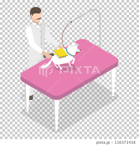 3D Isometric Flat Illustration of Pet Grooming. Item 3 3D Isometric Flat Illustration of Pet Grooming. Item 3 116371438