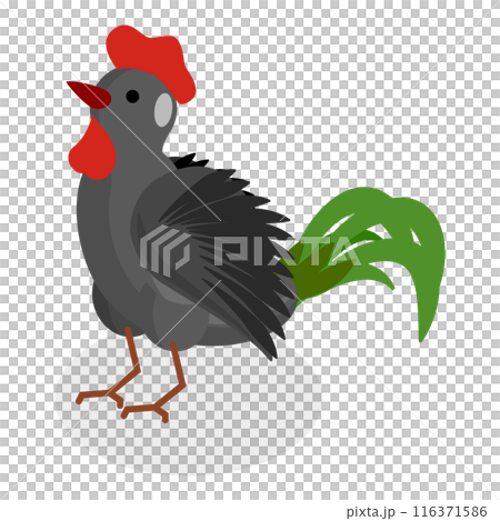 3D Isometric Flat  Set of Chickens. Item 4 116371586