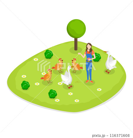 3D Isometric Flat Set of Farms. Item 1 3D Isometric Flat Set of Farms. Item 1 116371608