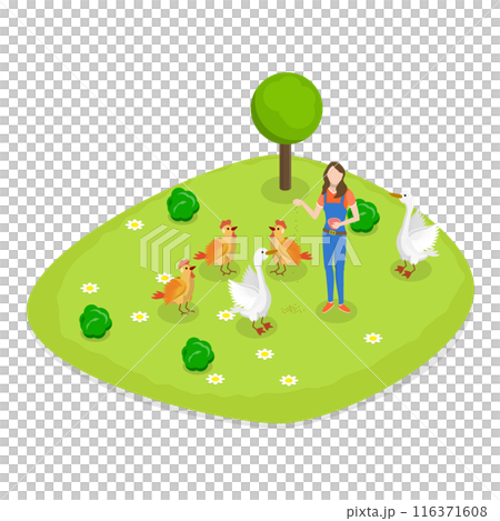3D Isometric Flat Set of Farms. Item 1 3D Isometric Flat Set of Farms. Item 1 116371608