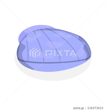 3D Isometric Flat Set of Seashells. Item 6 3D Isometric Flat Set of Seashells. Item 6 116371615