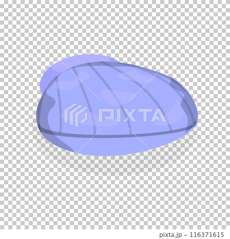 3D Isometric Flat Set of Seashells. Item 6 3D Isometric Flat Set of Seashells. Item 6 116371615