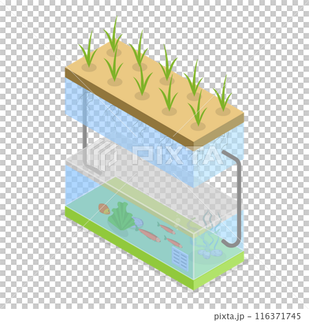 3D Isometric Flat  Illustration of Growing Systems. Item 1 116371745