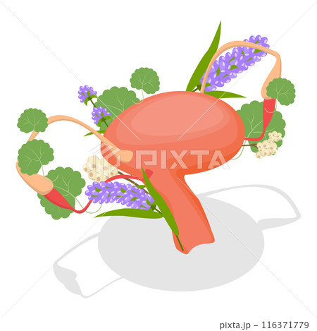 3D Isometric Flat Set of Human Organs With Flowers. Item 1 3D Isometric Flat Set of Human Organs With Flowers. Item 1 116371779