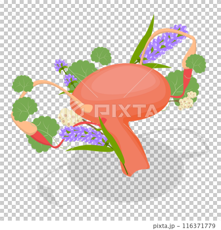 3D Isometric Flat Set of Human Organs With Flowers. Item 1 3D Isometric Flat Set of Human Organs With Flowers. Item 1 116371779