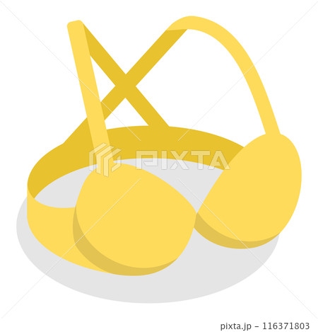 3D Isometric Flat  Set of Bras. Item 6 116371803