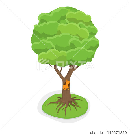 3D Isometric Flat  Set of Wild And Domestic Animals With Homes. Item 2 116371830