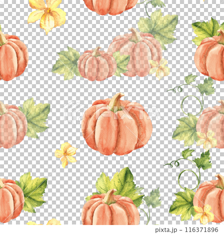 Pumpkin Watercolor Seamless Pattern on a white background. Can be used for kitchen textile prints, napkins, wrapping paper, product packaging design. Pumpkin Watercolor Seamless Pattern on a white background. Can be used for kitchen textile prints, napkins, wrapping paper, product packaging design. 116371896