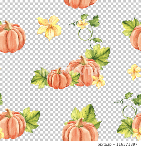 Pumpkin Watercolor Seamless Pattern on a white background. Can be used for kitchen textile prints, napkins, wrapping paper, product packaging design. Pumpkin Watercolor Seamless Pattern on a white background. Can be used for kitchen textile prints, napkins, wrapping paper, product packaging design. 116371897