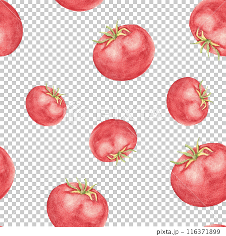 Tomato Watercolor Seamless Pattern on a white background. Can be used for kitchen textile prints, product packaging design. Tomato Watercolor Seamless Pattern on a white background. Can be used for kitchen textile prints, product packaging design. 116371899