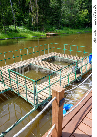 A fish farm or a specially equipped place for fish breeding. 116372326