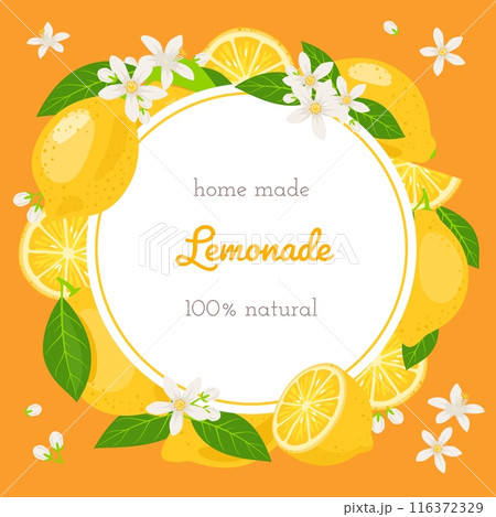 Round citrus frame. Sour refreshing lemon fruit, homemade lemonade circle sticker, delicious summer drink, botanical elements, packaging design, cartoon flat isolated illustration vector concept 116372329