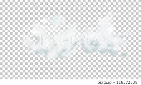 Realistic transparent white cloud, isolated. Fog, smoog. White steam flow, mist. Png Realistic transparent white cloud, isolated. Fog, smoog. White steam flow, mist. Png 116372539