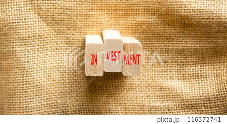 Investment symbol. Concept word Investment on beautiful wooden blocks. Beautiful canvas background. Business investment concept. Copy space. 116372741