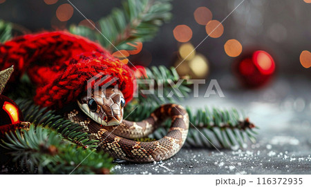 Green snake in red hat year on silver background with Christmas tree and lights. New year design 116372935