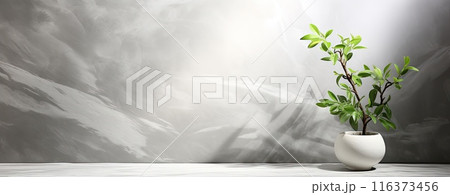 white marble background with plant in pot and shadow overlay 116373456