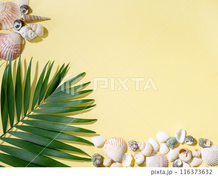 Seashells and palm leaf on a bright yellow background. The concept of summer holidays. Top view Seashells and palm leaf on a bright yellow background. The concept of summer holidays. Top view 116373632