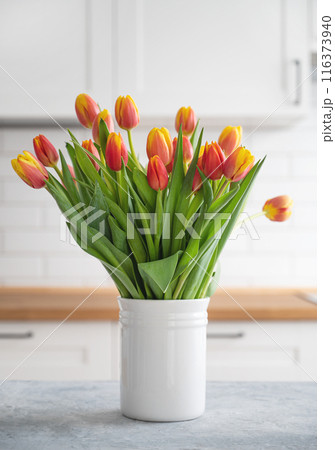 A beautiful bouquet of red and yellow tulips in a white vase on a blue wooden countertop A beautiful bouquet of red and yellow tulips in a white vase on a blue wooden countertop 116373940