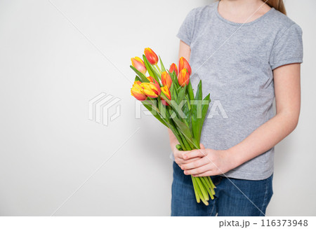 A girl is holding a beautiful bouquet of red and yellow tulips on gray background close-up. A girl is holding a beautiful bouquet of red and yellow tulips on gray background close-up. 116373948