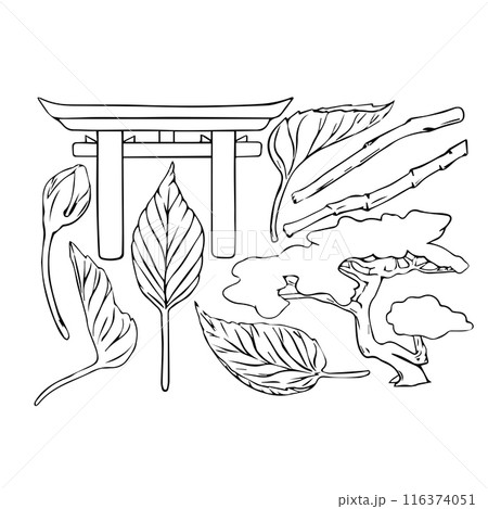 Vector Japanese ink illustration set. Torii Gate, leaves and Bonsai tree of Pine in line art style, sketch, chalkboard style. Isolated object EPS vector. Black outline 116374051