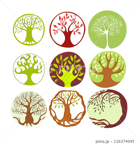 tree of life set cartoon vector illustration 116374095