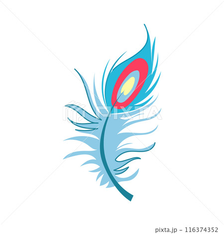 goose peacock feather cartoon vector illustration 116374352