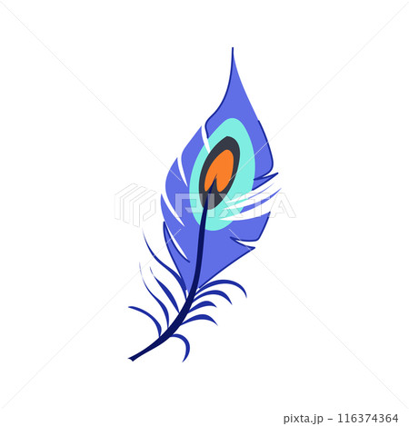 black peacock feather cartoon vector illustration black peacock feather cartoon vector illustration 116374364