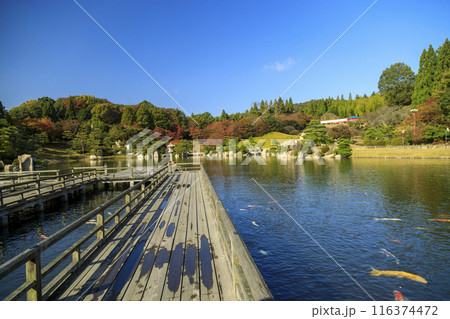 広島県三原三景園の日本庭園の紅葉 広島県三原三景園の日本庭園の紅葉 116374472