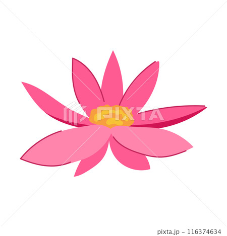 water lotus flower cartoon vector illustration 116374634