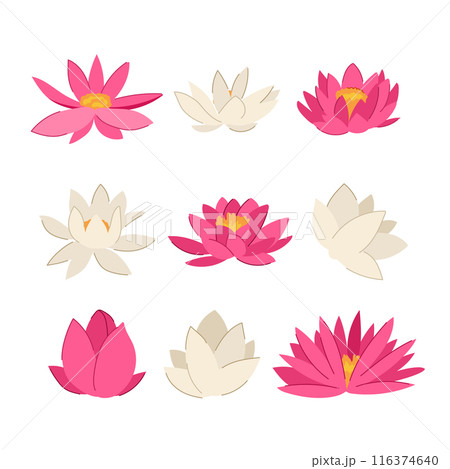 lotus flower set cartoon vector illustration 116374640