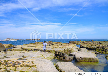（静岡県）伊豆下田・恵比須島から海を望む女性の後ろ姿 116374700