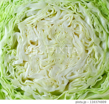 Macro green cabbage texture close up Macro green cabbage texture close up 116374809