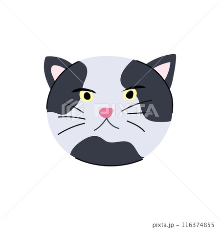 animal cat face cartoon vector illustration 116374855