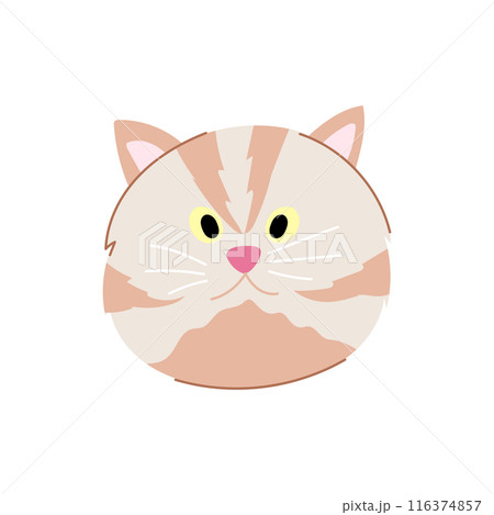 cute cat face cartoon vector illustration cute cat face cartoon vector illustration 116374857