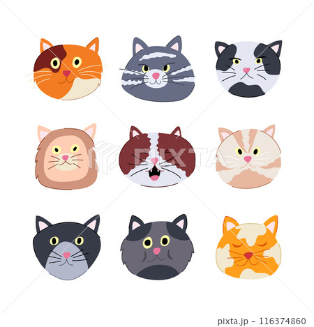 cat face set cartoon vector illustration 116374860