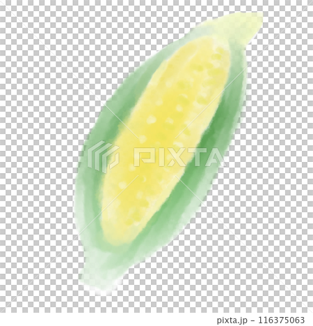 Hand-drawn watercolor illustration of corn 116375063