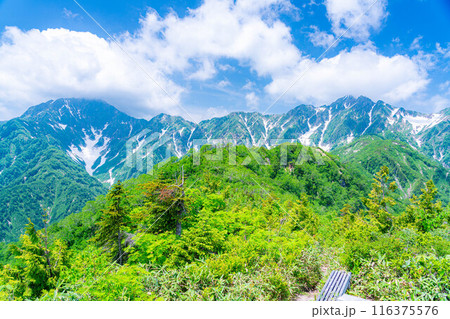 【山岳素材】小遠見山から見る雲海と白馬三山【長野県】 【山岳素材】小遠見山から見る雲海と白馬三山【長野県】 116375576
