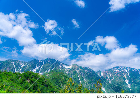 【山岳素材】小遠見山から見る雲海と白馬三山【長野県】 【山岳素材】小遠見山から見る雲海と白馬三山【長野県】 116375577