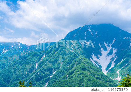 【山岳素材】小遠見山から見る雲海と白馬三山【長野県】 【山岳素材】小遠見山から見る雲海と白馬三山【長野県】 116375579