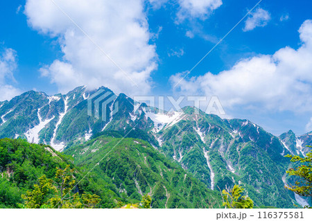【山岳素材】小遠見山から見る雲海と白馬三山【長野県】 116375581