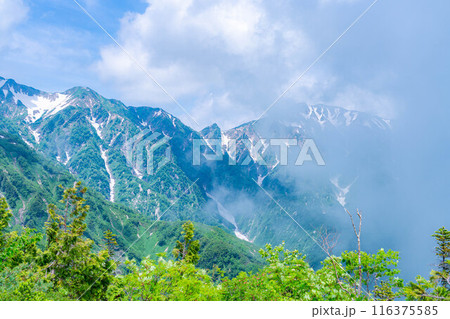 【山岳素材】小遠見山から見る雲海と白馬三山【長野県】 116375585