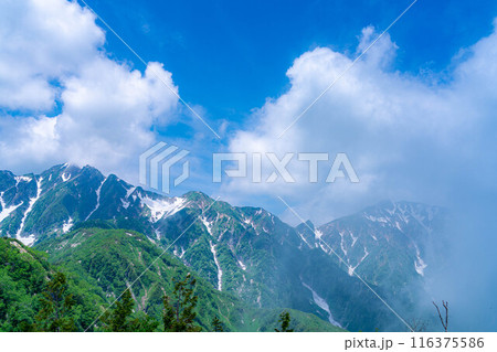 【山岳素材】小遠見山から見る雲海と白馬三山【長野県】 【山岳素材】小遠見山から見る雲海と白馬三山【長野県】 116375586