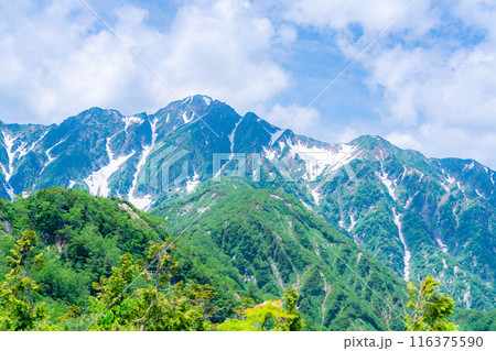 【山岳素材】小遠見山から見る雲海と白馬三山【長野県】 【山岳素材】小遠見山から見る雲海と白馬三山【長野県】 116375590