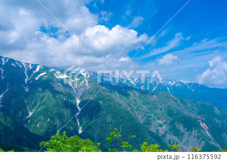 【山岳素材】小遠見山から見る雲海と白馬三山【長野県】 【山岳素材】小遠見山から見る雲海と白馬三山【長野県】 116375592