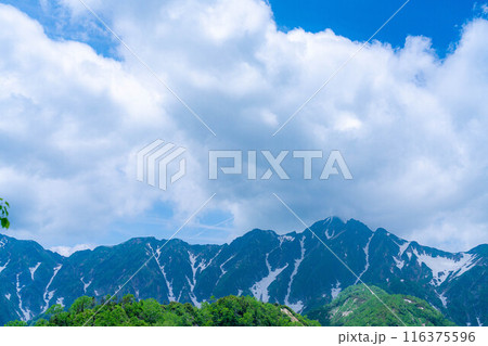 【山岳素材】小遠見山から見る雲海と白馬三山【長野県】 116375596