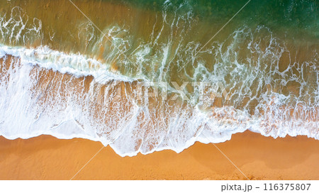 Serene Aerial View of an Empty Ocean Beach 116375807