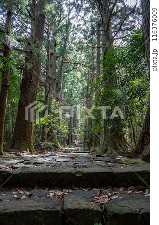 熊野古道 和歌山県 熊野古道 和歌山県 116376009