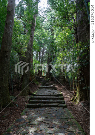 熊野古道 和歌山県 熊野古道 和歌山県 116376014